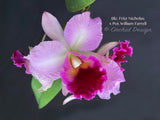 Cattleya Blc. Fritz Nicholas x Pot. William Farrell – FRAGRANT! - Orchid Design