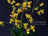 Oncidium Yi-Ying Shiny Gold – Sweet Fragrant! - Orchid Design