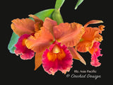 Rlc. Asia Pacific - Orchid Design