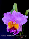 Cattleya Nij Fourty Four - Orchid Design
