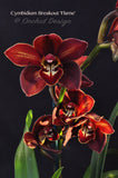 Cymbidium Breakout 'Flame' – Burgundy Red - Orchid Design