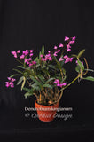 Dendrobium kingianum Species Fragrant - Orchid Design