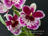 Miltoniopsis Morris Chesnut 'HOF #6' - Orchid Design