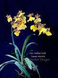 Oncidium Jiuhbao Gold 'Tainan' AM/AOS – Incredible Large Flowers - Orchid Design